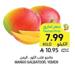 MANGO GALBATOOR, YEMEN