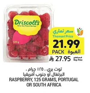 توت
