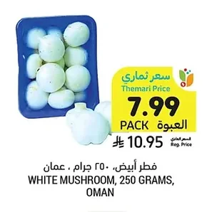فطر