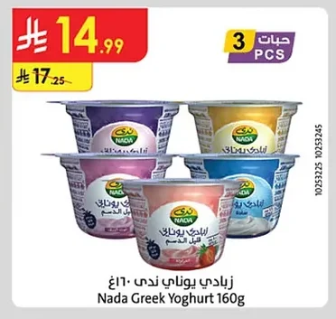 زبادي يوناني ندي