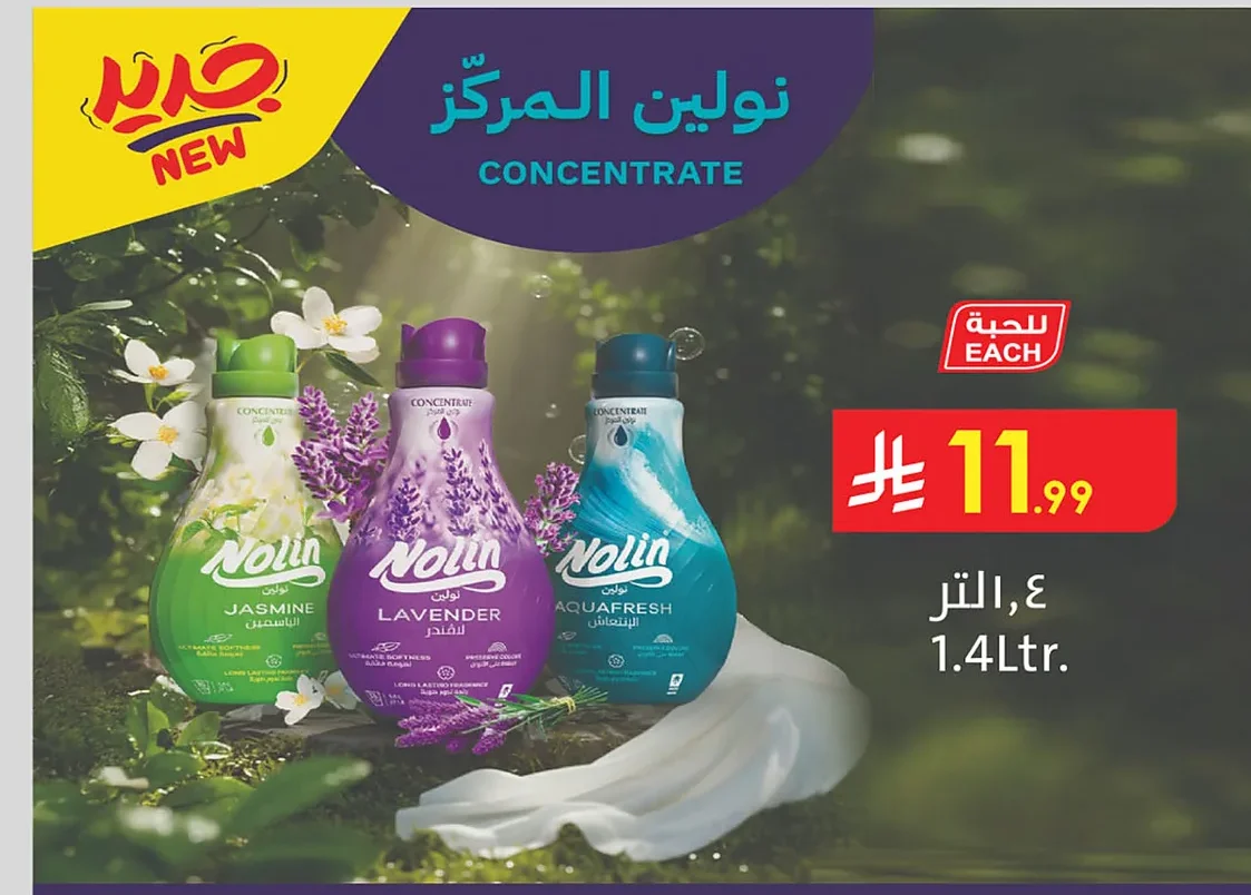 نولين المركز