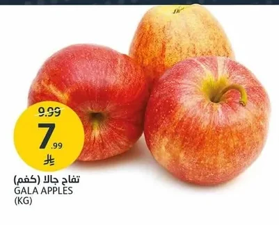 GALA APPLES