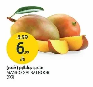 MANGO GALBATOOR