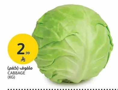 CABBAGE