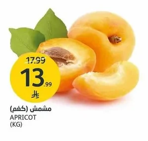 APRICOT
