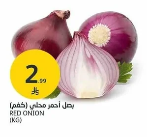 RED ONION