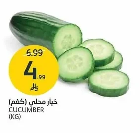 CUCUMBER