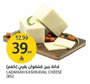 لدانة جبن قشقوان