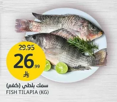 سمك بلطي