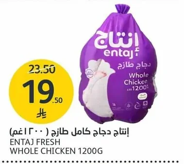 إنتاج دجاج كامل طازج