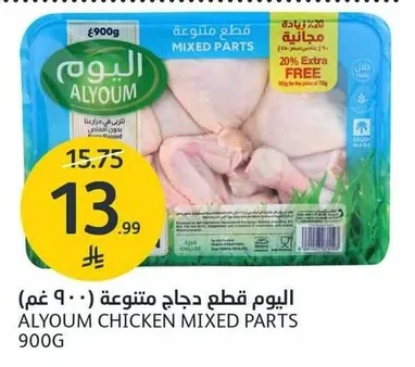اليوم قطع دجاج متنوعة