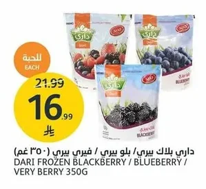 Dari Blackberries / Blueberries / Fairy Berries