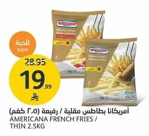 Americana Thin French Fries