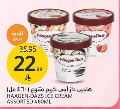 Häagen-Dazs Assorted Ice Cream