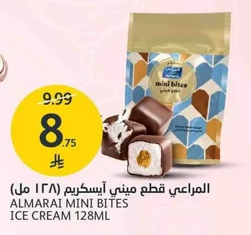 Mini Ice Cream Pieces
