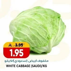 ملفوف ابيض