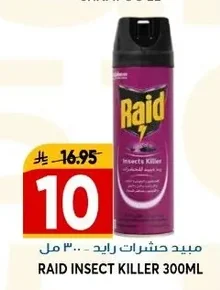 مبيد حشرات رايد