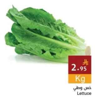 Lettuce