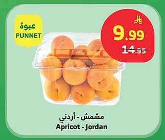 Apricot - Jordan