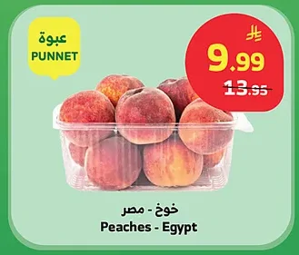 خوخ - مصر
