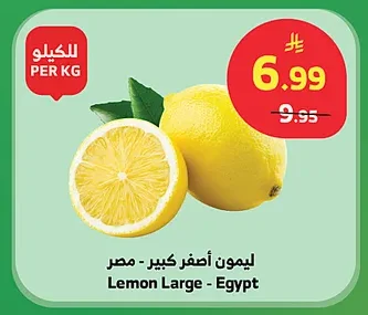 ليمون أصفر كبير - مصر