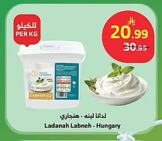 لدانة لبنه