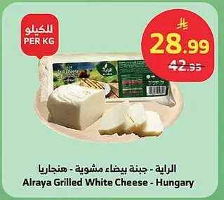 الراية - جبنة بيضاء مشوية - هنجاريا