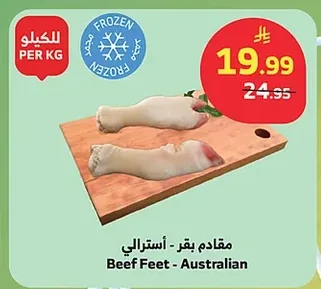 مقدم بقر - أسترالي