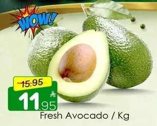 Fresh Avocado / Kg