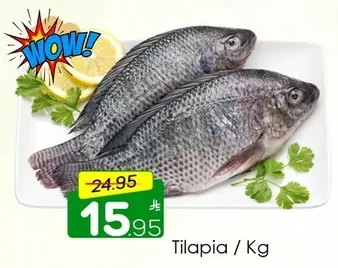 Tilapia / Kg