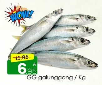 GG galunggong / Kg