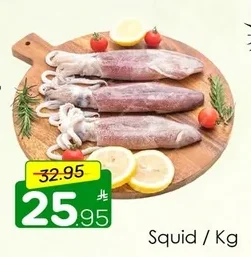 Squid / Kg