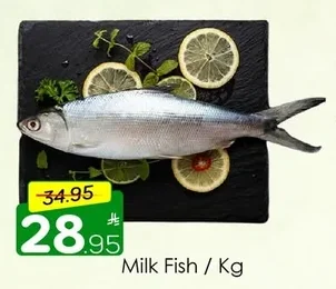 Milk Fish / Kg