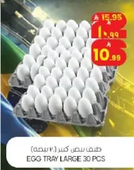 EGG TRAY LARGE 30 PCS