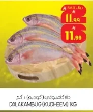 DALAKAMBUGi(KUDHEEM) IKG