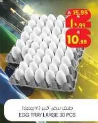 EGG TRAY LARGE 30 PCS