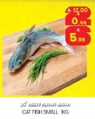 CAT FISH SMALL