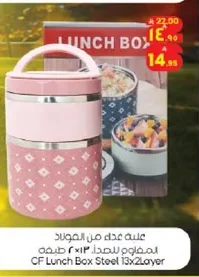 Stainless Steel Container 13x2Layer