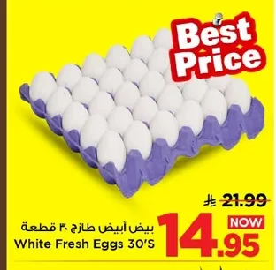 White Fresh Eggs