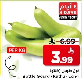 Bottle Gourd (Kathu) Long
