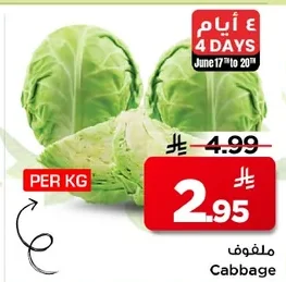ملفوف
