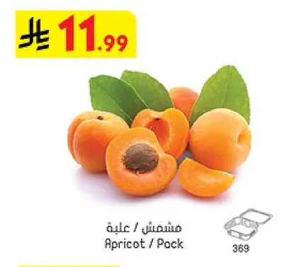 Apricot