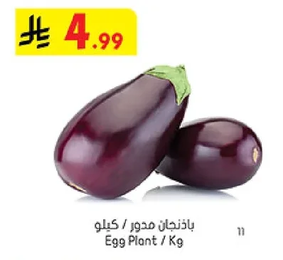 Egg Plant