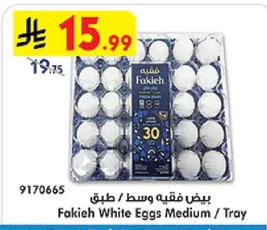 سمك دنيس / كيلو