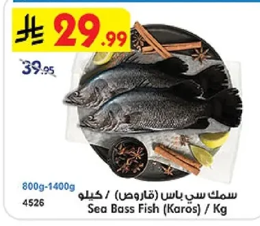 اليوم دجاج فيلية صدور