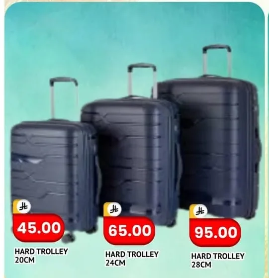 HARD TROLLEY 20CM