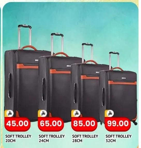 HARD TROLLEY 24CM
