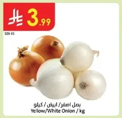 Yellow/White Onion / Kg