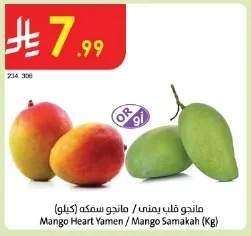 Mango Heart Yemen / Mango Samakah (Kg)