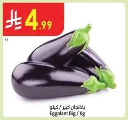 Eggplant Big / Kg